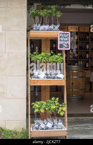 SAINT-EMILION, FRANKREICH - 07. SEPTEMBER 2017: Weinreben zu verkaufen außerhalb Weinhandlung mit Preisschild Stockfoto