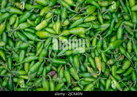 Gewürze : Ein paar würzige grüne Chili-Paprika isoliert auf weißem Hintergrund Stockfoto