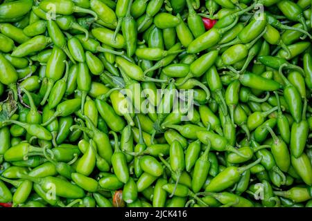 Gewürze : Ein paar würzige grüne Chili-Paprika isoliert auf weißem Hintergrund Stockfoto