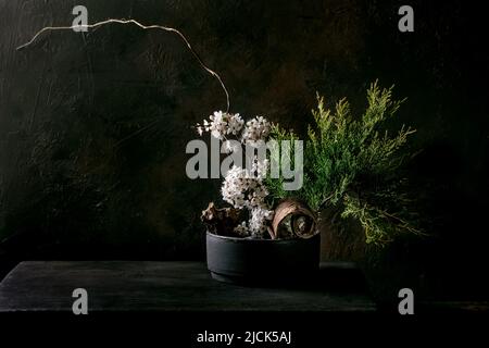 Frühling Ikebana. Florale Komposition mit frühlingshaft blühenden weißen Blüten, Thujazweig und Steinen in schwarzer Keramikschale, stehend auf schwarzem Holztisch. Stockfoto