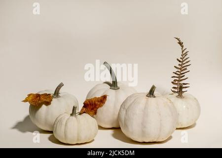 Gruppe von weißen ganzen ungekochten dekorativen Kürbissen mit herbstlichen trockenen Blättern auf beigem Hintergrund. Minimalistische Herbstkomposition. Speicherplatz kopieren Stockfoto