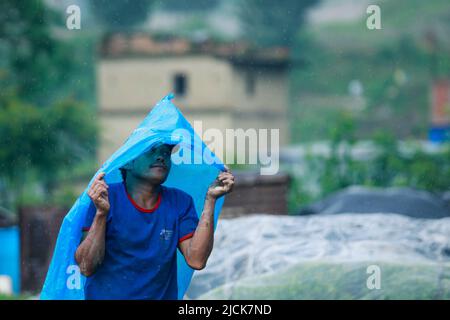 Bhaktapur, Bagmati, Nepal. 14.. Juni 2022. Ein Bauer bedeckt sich mit einer Plastikfolie, während er während eines Monsunregens in Bhaktapur, Nepal, auf einem Reisfeld arbeitet. (Bild: © Amit Machamasi/ZUMA Press Wire) Stockfoto