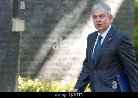 London, Großbritannien. 14.. Juni 2022.Brandon lewis kommt bei einer Kabinettssitzung in der Downing Street London 10 an. Kredit: Ian Davidson/Alamy Live Nachrichten Stockfoto