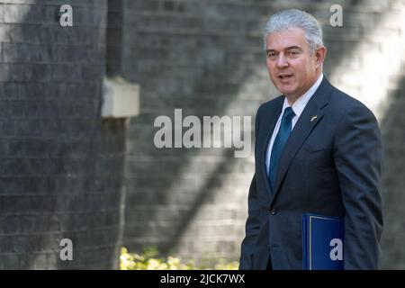 London, Großbritannien. 14.. Juni 2022. Brandon Lewis, der nordirische Sekretär, kommt zu einer Kabinettssitzung in der Downing Street 10 in London an. Kredit: Ian Davidson/Alamy Live Nachrichten Stockfoto