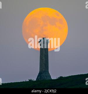 Portesham, Dorset, Großbritannien. 13.. Juni 2022. Wetter in Großbritannien. Der fast volle Strawberry Super Moon leuchtet orange, als er sich hinter dem Hardy Monument in Portesham in Dorset in den klaren Abendhimmel erhebt. Das Denkmal wurde 1844 in Erinnerung an den Vizeadmiral Sir Thomas Masterman Hardy errichtet, der Flaggenkapitän der HMS Victory bei der Schlacht von Trafalgar war. Bildnachweis: Graham Hunt/Alamy Live News Stockfoto