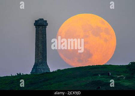 Portesham, Dorset, Großbritannien. 13.. Juni 2022. Wetter in Großbritannien. Der fast volle Strawberry Super Moon leuchtet orange, als er sich hinter dem Hardy Monument in Portesham in Dorset in den klaren Abendhimmel erhebt. Das Denkmal wurde 1844 in Erinnerung an den Vizeadmiral Sir Thomas Masterman Hardy errichtet, der Flaggenkapitän der HMS Victory bei der Schlacht von Trafalgar war. Bildnachweis: Graham Hunt/Alamy Live News Stockfoto