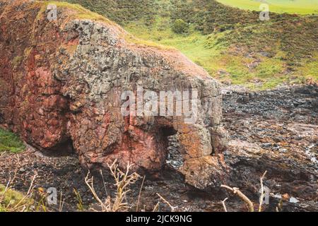 Der Elefantenfelsen-Aufschluss an der Küste bei Montrose in Schottland Stockfoto