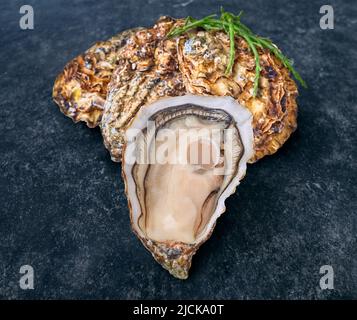 Öffnen Sie frische rohe Austernmuscheln isoliert und verzehrfertig. Stockfoto