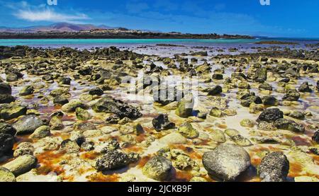 El Cotillo, Nord-Fuerteventura: Viele zahllose Steine im Wasser verstreut im Sand am felsigen Strand bei Ebbe, türkisfarbenem Meer Lagune Hintergrund Stockfoto