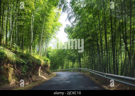 Bamboo Berg und Straße Stockfoto