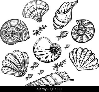 Set von Meereslebewesen in einem Kreis, handgezeichnet im Skizzenstil. Kreisförmige Rahmen aus Muscheln, Algen und kleinen Fischen. Sommergrußkarte Stock Vektor