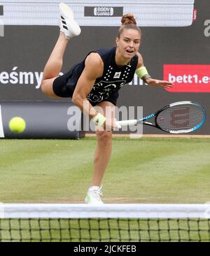 Berlin, Deutschland. 14.. Juni 2022. Tennis: WTA Tour, Runde von 16 Singles, Frauen, Wettkampf, 1. Runden Jeanjean (Frankreich) - Sakkari (Griechenland) im Steffi Graf Stadium. Maria Sakkari bedient den Ball. Quelle: Wolfgang Kumm/dpa/Alamy Live News Stockfoto