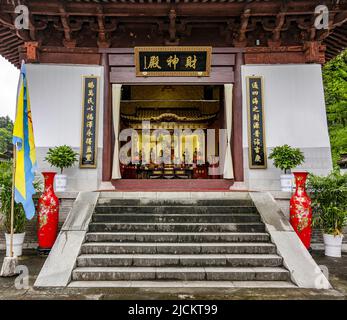 Die Stadt Yingtan, Provinz jiangxi, der Drache auf dem großen Waren-Qing-Tempel Stockfoto