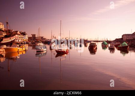 Großbritannien, England, Devon, Torbay, Blick auf den Brixham Harbour vom Strand at Dawn Stockfoto