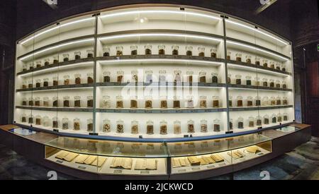 Zhejiang ningang jiangbei CiCheng Stadtmuseum der traditionellen chinesischen Medizin Kräuter, Arzneimittelhersteller Stockfoto