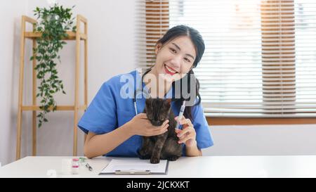 Tierpflegekonzept, weibliche Veterinärmedizin bereiten Impfungen zur Injektion der Katze in der Tierarztklinik vor. Stockfoto