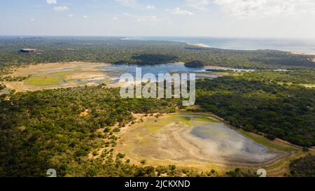 Blick von oben auf See und Feuchtgebiete im Kumana Nationalpark. Sri Lanka. Stockfoto