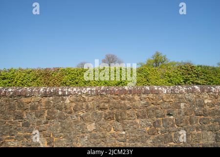 Kentish Ragstone ein harter grauer Kalkstein, der verwendet wurde, um eine starke Grenzmauer mit roten Ziegelsteinen zu errichten, die oben gegen einen blauen Himmel stehen Stockfoto