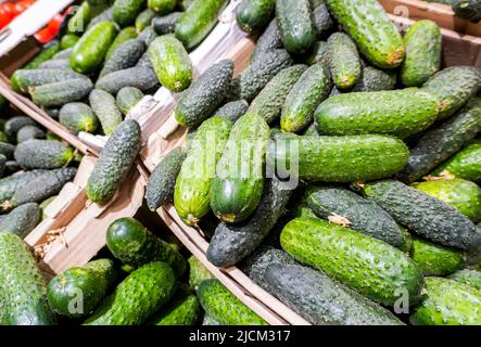 Frisch geerntete Gurken Gemüse auf dem Bauernmarkt. Frisches grünes Gemüse auf den Märkten Stockfoto