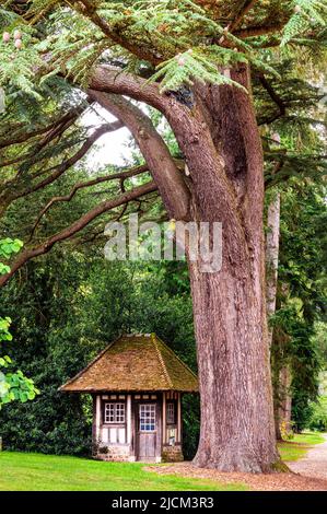 Der Park von Schloss Harcourt ist die Heimat von Frankreich ältesten Arboretum mit einer Amazin Sammlung von Bäumen aus der ganzen Welt Stockfoto