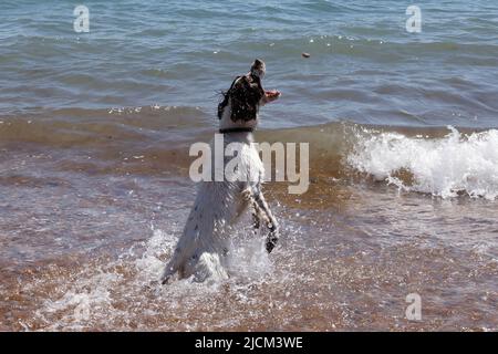 Brighton, Großbritannien, 14.. Juni 2022, Abkühlung am Brighton Beach bei Sonnenschein 14.. Juni 2022 Stockfoto