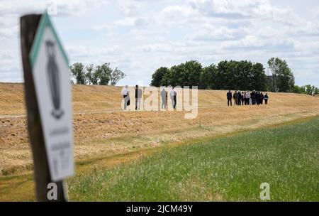 14. Juni 2022, Sachsen-Anhalt, Wittenberg: Eine Gruppe von Menschen läuft auf einem Elbdeich bei Bösewig. Die Heinz-Sielmann-Stiftung plant hier in enger Zusammenarbeit mit dem Biosphärenreservat Zentral-Elbe und Landwirten die Eröffnung des Deiches, damit alte Elbeauen wieder mit Wasser versorgt werden können. Durch menschliches Eingreifen in Form von Deichbau und Flussregulierung hat sich die Elbe über Jahrhunderte allmählich von ihren Auen getrennt. Darüber hinaus hat sich der Fluss in den letzten Jahren tiefer in sein Bett gegraben, was die Versorgung der Auen noch schwieriger macht. Foto: Jan Woitas/dpa Stockfoto