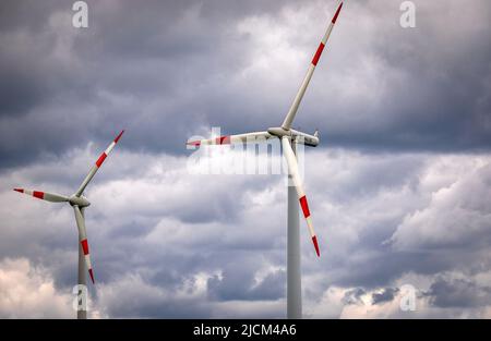 14. Juni 2022, Mecklenburg-Vorpommern, Groß Schwiesow: Windkraftanlagen drehen sich auf dem Windpark von Groß Schwiesow. Die Landesanstalt für Energie und Klimaschutz Mecklenburg-Vorpommern und der Landesverband Erneuerbare Energien MV organisieren die Windparktour und informieren über Projekte im Bereich der erneuerbaren Energien. Foto: Jens Büttner/dpa Stockfoto