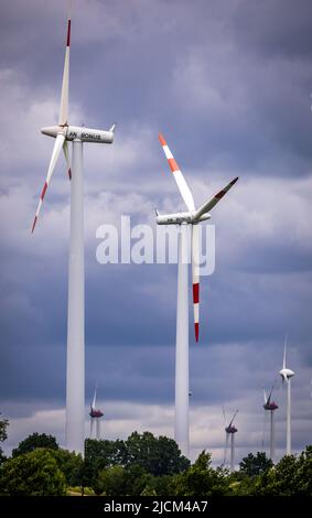 14. Juni 2022, Mecklenburg-Vorpommern, Groß Schwiesow: Windkraftanlagen drehen sich auf dem Windpark von Groß Schwiesow. Die Landesanstalt für Energie und Klimaschutz Mecklenburg-Vorpommern und der Landesverband Erneuerbare Energien MV organisieren die Windparktour und informieren über Projekte im Bereich der erneuerbaren Energien. Foto: Jens Büttner/dpa Stockfoto