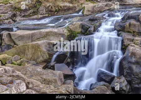 Ein Wasserfall stürzt wie ein Schleier über Felsvorsprünge im McLaren Falls Park, Neuseeland Stockfoto