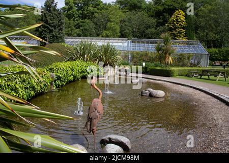 Das Gewächshaus und der formelle Garten im Botanischen Garten der Durham University, England Stockfoto