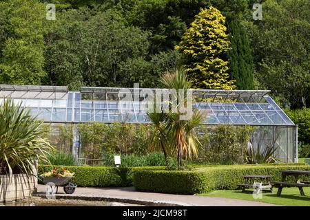 Das Gewächshaus und der formelle Garten im Botanischen Garten der Durham University, England Stockfoto