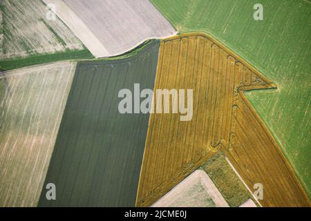 Landwirtschaftliche Landschaft mit verschiedenen Kulturen. Weitwinkelansicht auf Feldmuster. Stockfoto