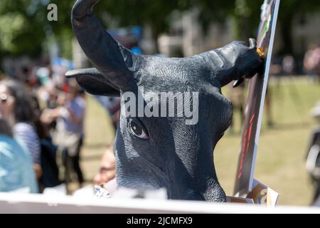 London, Großbritannien. 14.. Juni 2022. Mitgefühl in der Landwirtschaft Protest gegen Lebendviehexporte im Parliament Square London Großbritannien, Quelle: Ian Davidson/Alamy Live News Stockfoto