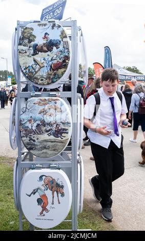 Große Ausstellung von Thelwell Stil Pony Klo Roll Halter und WC Sitzbezüge zum Verkauf auf der Royal Cornwall Show. Bunt, fröhlich und lustig. Stockfoto