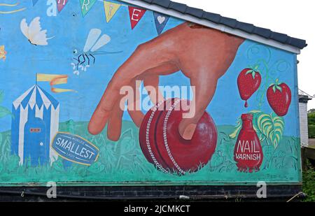 GCC, Grappenhall Cricket Club Tracey Shaw Art Mural, Grappenhall, Warrington, Cheshire, England, Großbritannien, WA4 3EH Stockfoto