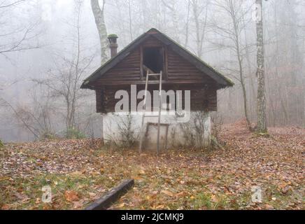 Seite einer verlassenen Hütte im Wald mit einer kaputten Leiter, die an einem nebligen Herbsttag im Pfälzer Wald von Deutschland gegen das Fenster gelehnt ist. Stockfoto