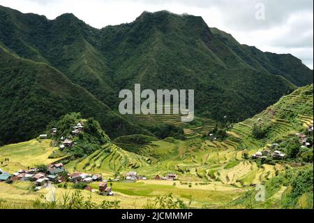 Mountain Province, Philippinen: Majestätische landwirtschaftliche Landschaft des alten Amphitheaters Banaue Rise Terrassen. Genannt Achteles Weltwunder. Stockfoto