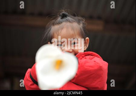 Mountain Province, Philippinen: Junge Sagada-Einheimische, ein Mädchen mit lächelnden asiatischen Augen und einer leuchtend roten Jacke, das eine weiße Calla-Lilie an die Kamera hält. Stockfoto