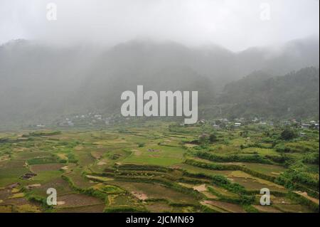 Bergprovinz, Philippinen: Die ätherischen Sagada-Reisterrassen und die majestätische Cordillera-Bergkette an einem nebligen Tag. Stockfoto