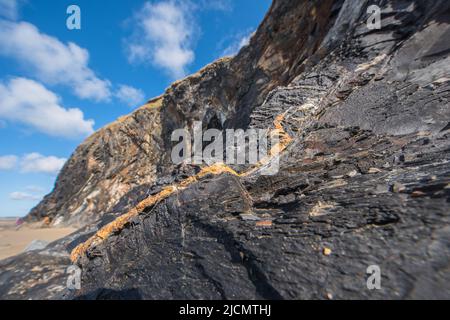 Black Ordovician Shales, Druidston Haven, Pembrokeshire, Wales, Großbritannien Stockfoto