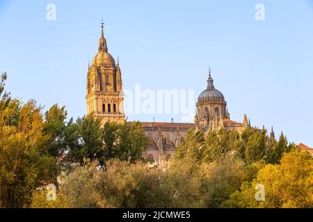 Teilweiser Blick auf die Kathedrale von Salamanca hinter den Bäumen des Flusses Tormes bei Sonnenuntergang Stockfoto