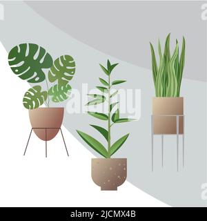 Set von heimischen Pflanzen im Blumentopf. Vektorgrafik „Zimmerpflanzen“ Stock Vektor