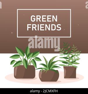 Set von heimischen Pflanzen im Blumentopf. Houseplants Vektorgrafik mit Platz für Text Stock Vektor