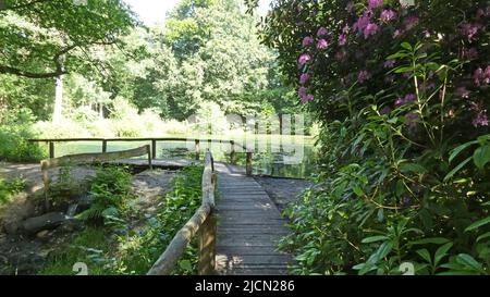 Um die Ecke dieses Sees zu passieren, wurde ein Terrassenweg gemacht. Dieser See wird von einer Quelle bewässert. Auf der rechten Seite des Pfades speist der See einen Bach. Stockfoto
