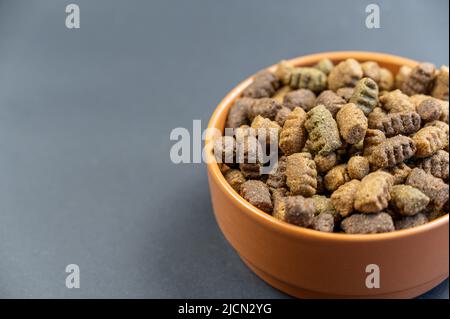 Hundefutter in einer braunen Tonschale vor grauem Hintergrund trocknen. Die Pellets haben eine ovale Form. Futter für kastrierte und kastrierte Haustiere. Nützliches Tierfutter-Konzept Stockfoto