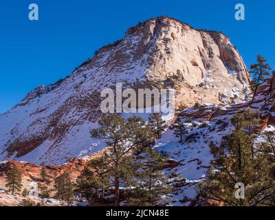 Klippen entlang des Zion-Mount Carmel Junction Highway, Winter, Zion National Park, Utah. Stockfoto