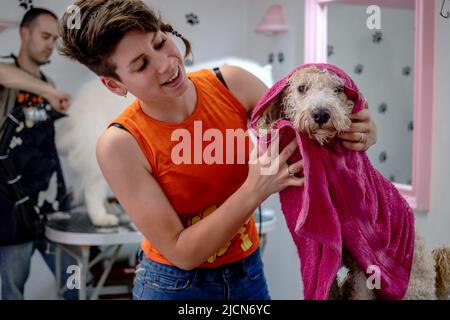 Professionelle Groomers, die einen weißen Pudel und einen sibirischen Samoyed auf Pflegetischen in einem Schönheitssalon für Hunde behandeln. Stockfoto