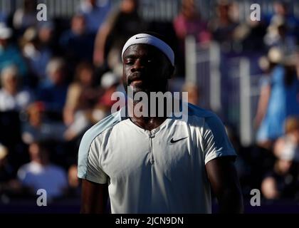 14.. Juni 2022; Queens Club, West Kensington, London, England; Cinch Queens Club ATP Tour 500 Series Lawn Tennis Turnier; Frances Tiafoe (USA) schaut zu Stockfoto