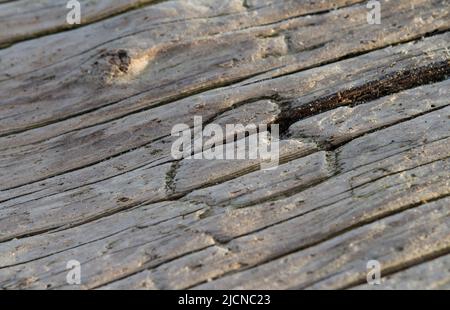 Ein Herz, das in ein großes Stück Treibholz entlang der Küste in der Wintersonne am späten Nachmittag geschnitzt wurde. Stockfoto