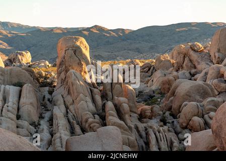 Landschaft im Joshua Tree National Park mit wunderschönen Felsbrocken und blauem Himmel bei Sonnenuntergang. Stockfoto